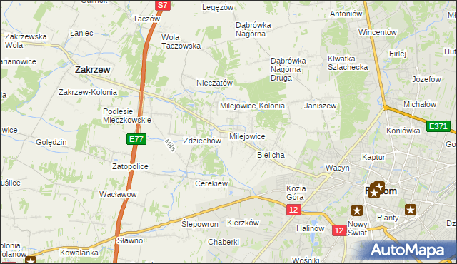 mapa Milejowice gmina Zakrzew, Milejowice gmina Zakrzew na mapie Targeo