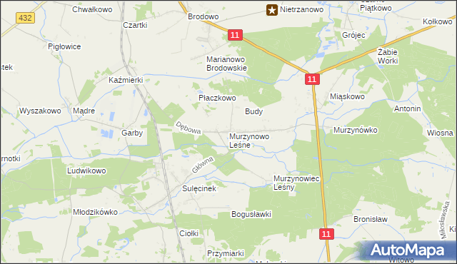 mapa Murzynowo Leśne, Murzynowo Leśne na mapie Targeo
