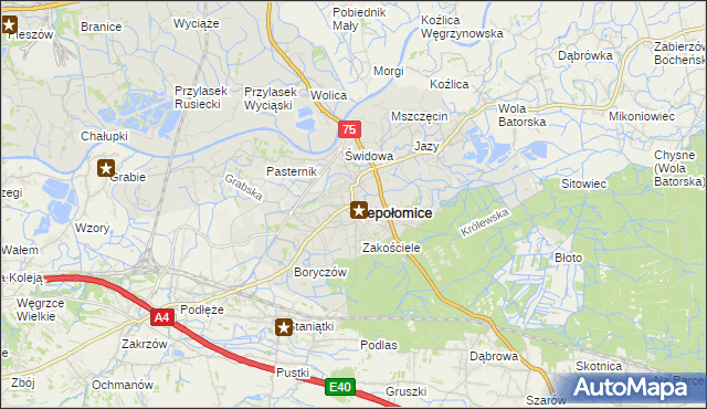mapa Niepołomice, Niepołomice na mapie Targeo