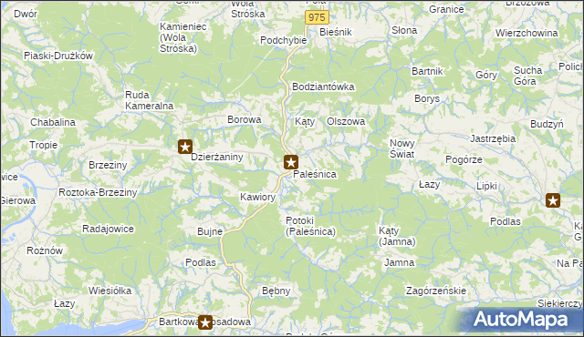 mapa Paleśnica, Paleśnica na mapie Targeo