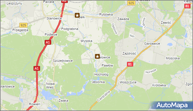 mapa Palowice, Palowice na mapie Targeo