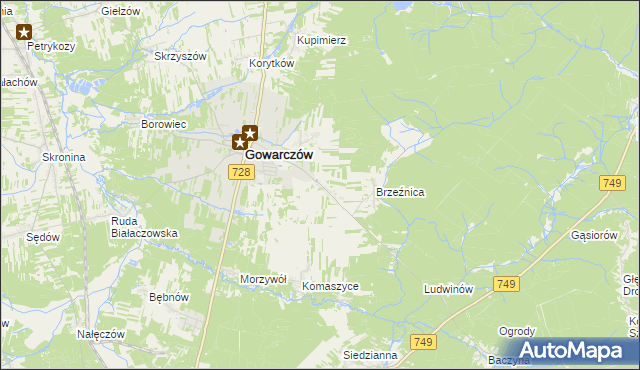 mapa Rogówek gmina Gowarczów, Rogówek gmina Gowarczów na mapie Targeo