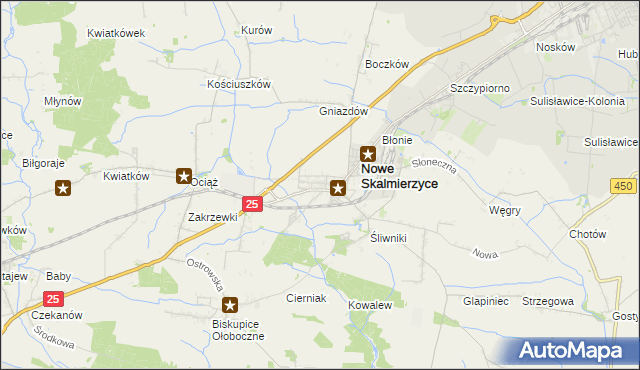 mapa Skalmierzyce, Skalmierzyce na mapie Targeo