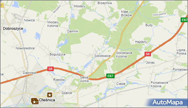 mapa Sokołowice gmina Oleśnica, Sokołowice gmina Oleśnica na mapie Targeo