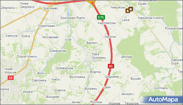 mapa Stare Skoszewy, Stare Skoszewy na mapie Targeo