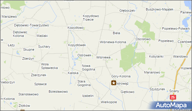 mapa Wiśniewa gmina Wilczyn, Wiśniewa gmina Wilczyn na mapie Targeo