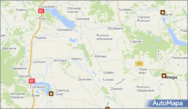 mapa Witkowo gmina Wielgie, Witkowo gmina Wielgie na mapie Targeo