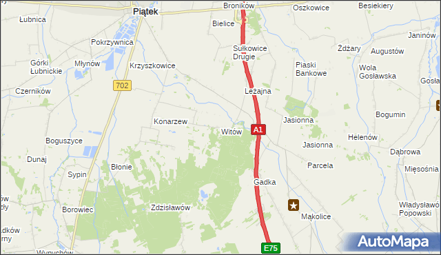 mapa Witów gmina Piątek, Witów gmina Piątek na mapie Targeo