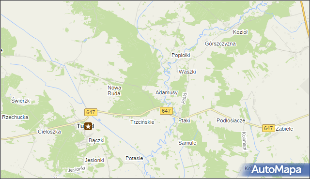 mapa Adamusy, Adamusy na mapie Targeo