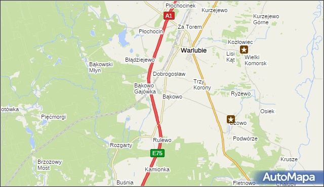 mapa Bąkowo gmina Warlubie, Bąkowo gmina Warlubie na mapie Targeo