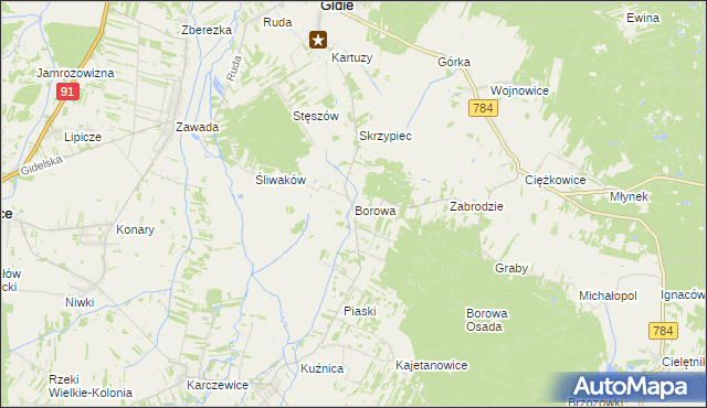 mapa Borowa gmina Gidle, Borowa gmina Gidle na mapie Targeo