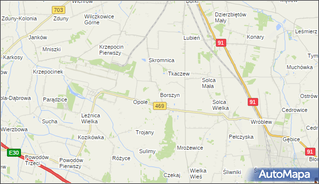 mapa Borszyn, Borszyn na mapie Targeo