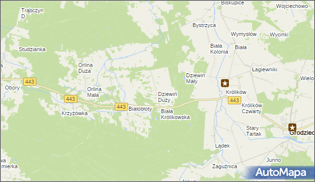 mapa Dziewiń Duży, Dziewiń Duży na mapie Targeo