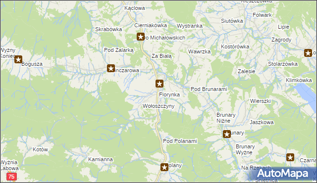 mapa Florynka, Florynka na mapie Targeo