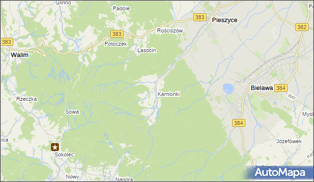 mapa Kamionki gmina Pieszyce, Kamionki gmina Pieszyce na mapie Targeo