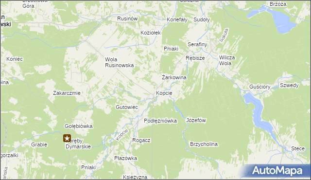 mapa Kopcie gmina Dzikowiec, Kopcie gmina Dzikowiec na mapie Targeo