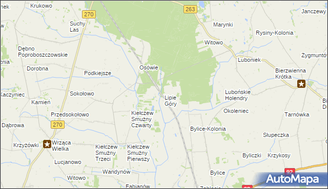 mapa Lipie Góry gmina Babiak, Lipie Góry gmina Babiak na mapie Targeo