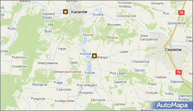 mapa Wielgie gmina Ciepielów, Wielgie gmina Ciepielów na mapie Targeo