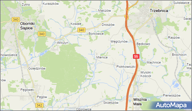 mapa Mienice, Mienice na mapie Targeo