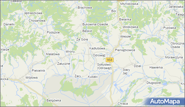 mapa Odrowąż gmina Czarny Dunajec, Odrowąż gmina Czarny Dunajec na mapie Targeo