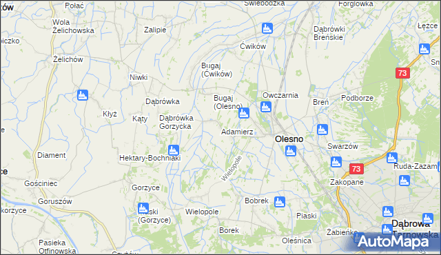 mapa Adamierz gmina Olesno, Adamierz gmina Olesno na mapie Targeo