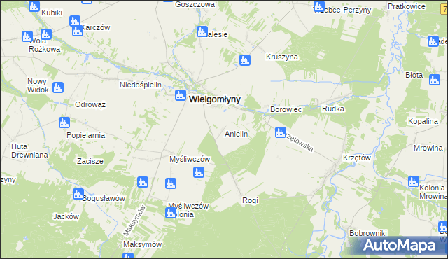mapa Anielin gmina Wielgomłyny, Anielin gmina Wielgomłyny na mapie Targeo