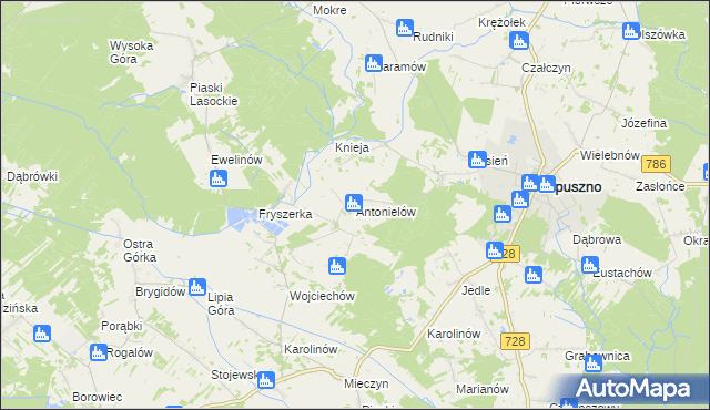 mapa Antonielów gmina Łopuszno, Antonielów gmina Łopuszno na mapie Targeo