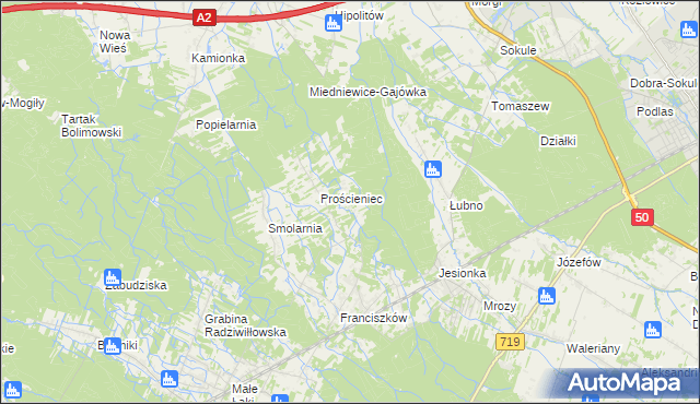 mapa Antoniew gmina Wiskitki, Antoniew gmina Wiskitki na mapie Targeo