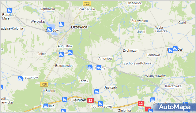 mapa Antoniów gmina Gielniów, Antoniów gmina Gielniów na mapie Targeo