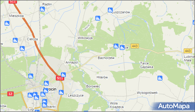 mapa Bachorzew, Bachorzew na mapie Targeo