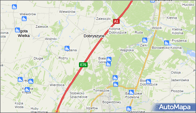 mapa Biała Góra gmina Dobryszyce, Biała Góra gmina Dobryszyce na mapie Targeo