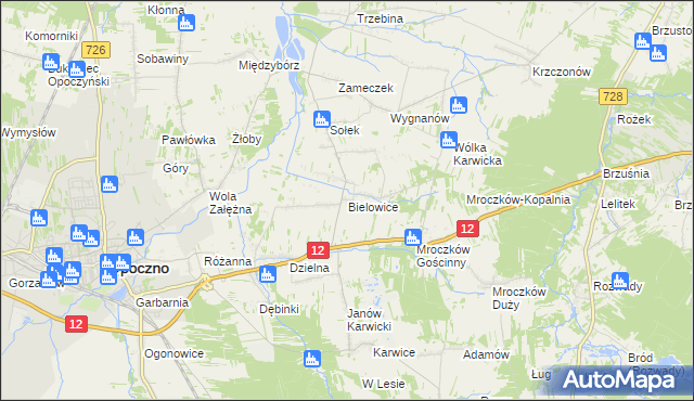 mapa Bielowice gmina Opoczno, Bielowice gmina Opoczno na mapie Targeo