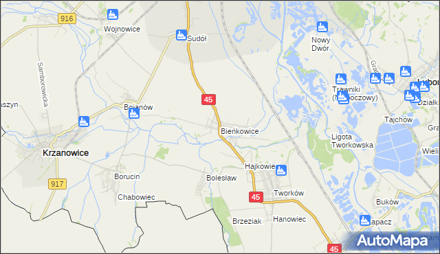 mapa Bieńkowice gmina Krzyżanowice, Bieńkowice gmina Krzyżanowice na mapie Targeo
