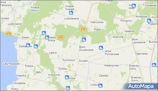 mapa Borki Drużbińskie, Borki Drużbińskie na mapie Targeo