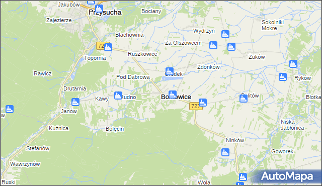 mapa Borkowice powiat przysuski, Borkowice powiat przysuski na mapie Targeo