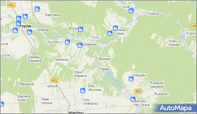 mapa Borowa gmina Miedźno, Borowa gmina Miedźno na mapie Targeo