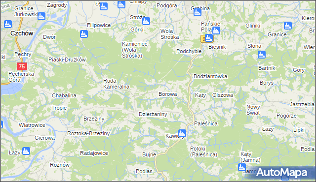 mapa Borowa gmina Zakliczyn, Borowa gmina Zakliczyn na mapie Targeo