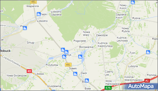 mapa Borowianka, Borowianka na mapie Targeo