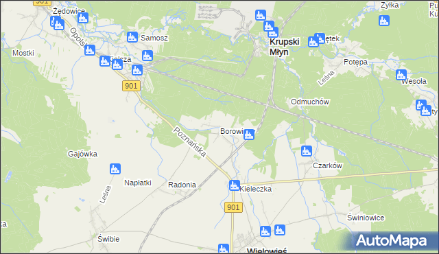 mapa Borowiany, Borowiany na mapie Targeo