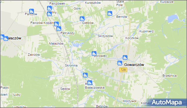 mapa Borowiec gmina Gowarczów, Borowiec gmina Gowarczów na mapie Targeo