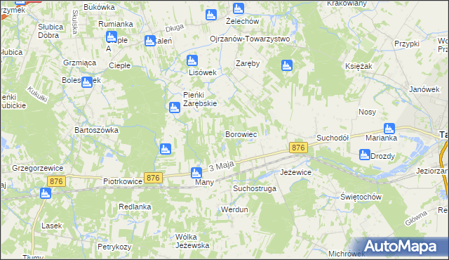 mapa Borowiec gmina Tarczyn, Borowiec gmina Tarczyn na mapie Targeo