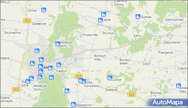 mapa Borszyn Mały, Borszyn Mały na mapie Targeo
