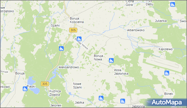mapa Boruja Nowa, Boruja Nowa na mapie Targeo