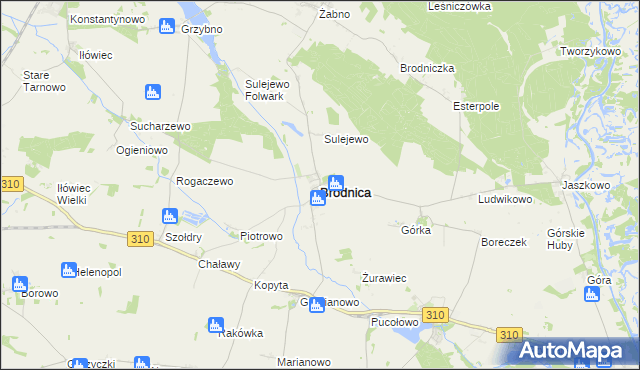 mapa Brodnica powiat śremski, Brodnica powiat śremski na mapie Targeo