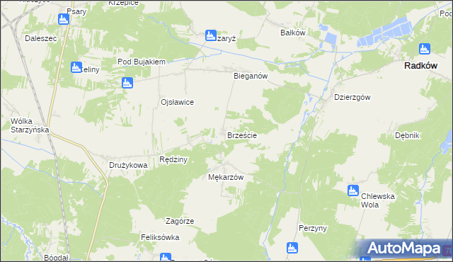 mapa Brzeście gmina Radków, Brzeście gmina Radków na mapie Targeo