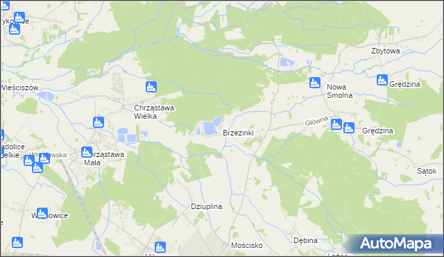 mapa Brzezinki gmina Jelcz-Laskowice, Brzezinki gmina Jelcz-Laskowice na mapie Targeo