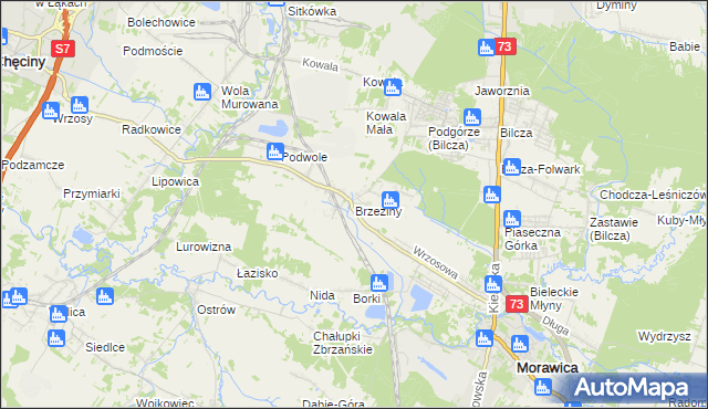 mapa Brzeziny gmina Morawica, Brzeziny gmina Morawica na mapie Targeo
