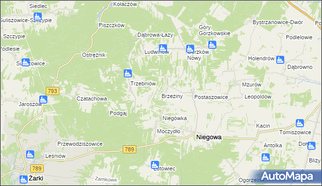 mapa Brzeziny gmina Niegowa, Brzeziny gmina Niegowa na mapie Targeo