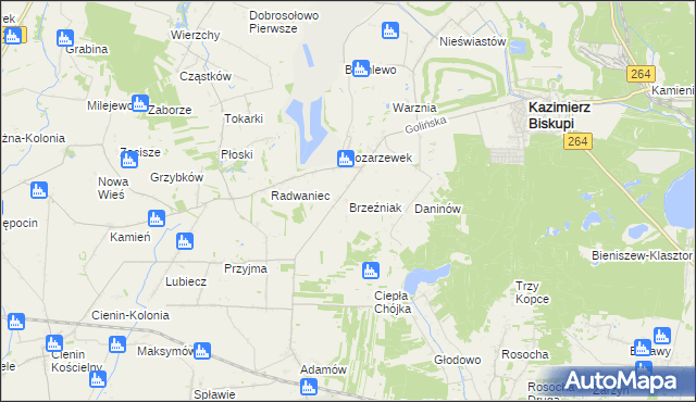 mapa Brzeźniak gmina Golina, Brzeźniak gmina Golina na mapie Targeo