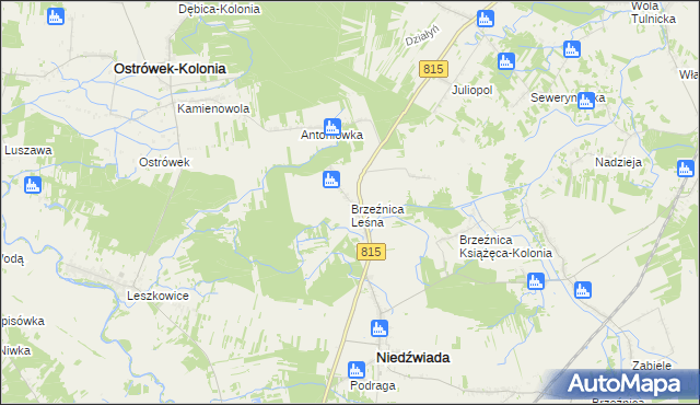 mapa Brzeźnica Leśna, Brzeźnica Leśna na mapie Targeo